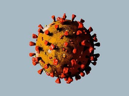 Herausforderung Coranavirus